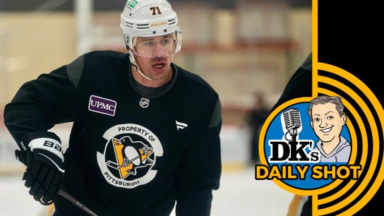 DK's Daily Shot of Penguins: How to hold up? taken in Bradenton, Fla. (Podcasts)